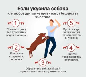 Безопасность