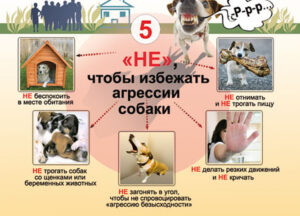 Безопасность