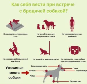 Безопасность