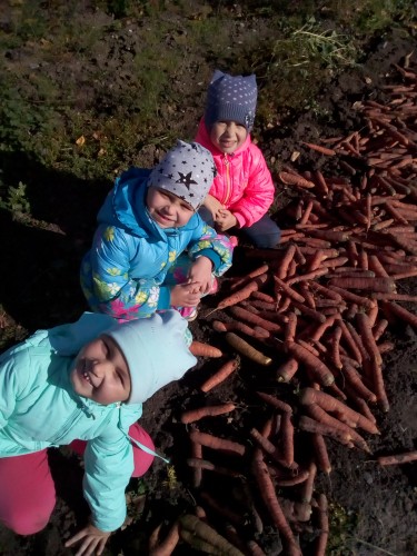 Дарами нас порадовала осень...