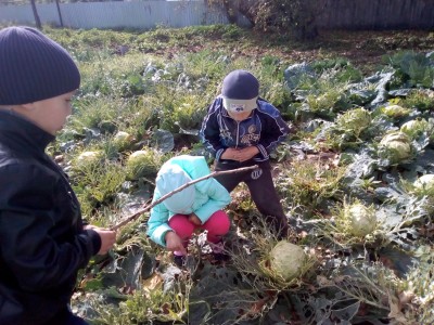 Дарами нас порадовала осень...